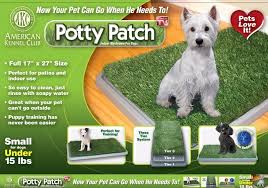 POTTY PATCH: TAPETE MASCOTA 68X43X3 - Imagen 5